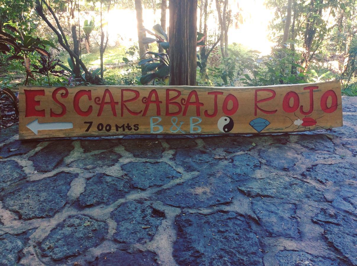 Escarabajo Rojo Bed & Breakfast Tulum Exterior photo